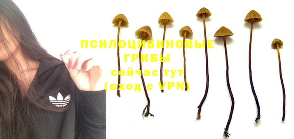 дурь Волосово